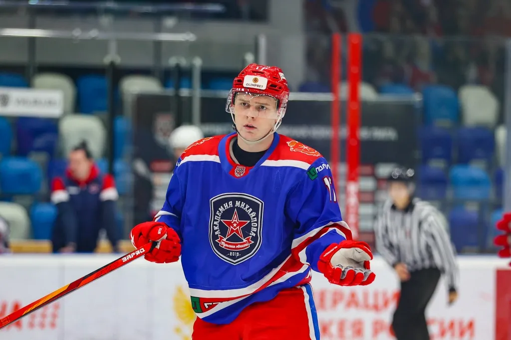 रूस में आइस हॉकी के विकास पर एमएचएल का प्रभाव: युवा आइस हॉकी खिलाड़ियों के लिए सहायता कार्यक्रम